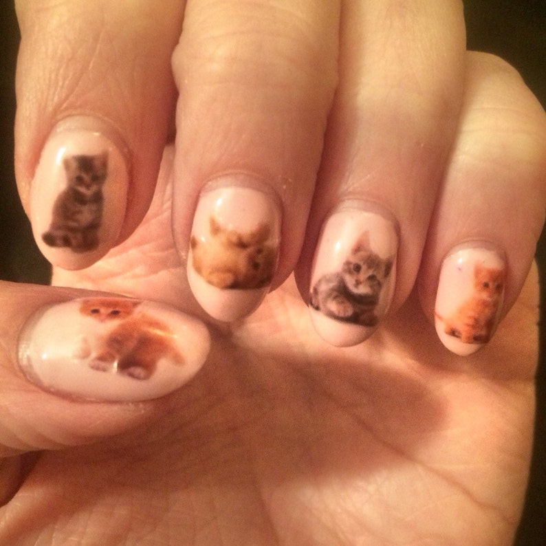 Kitten Nail Decals image 1