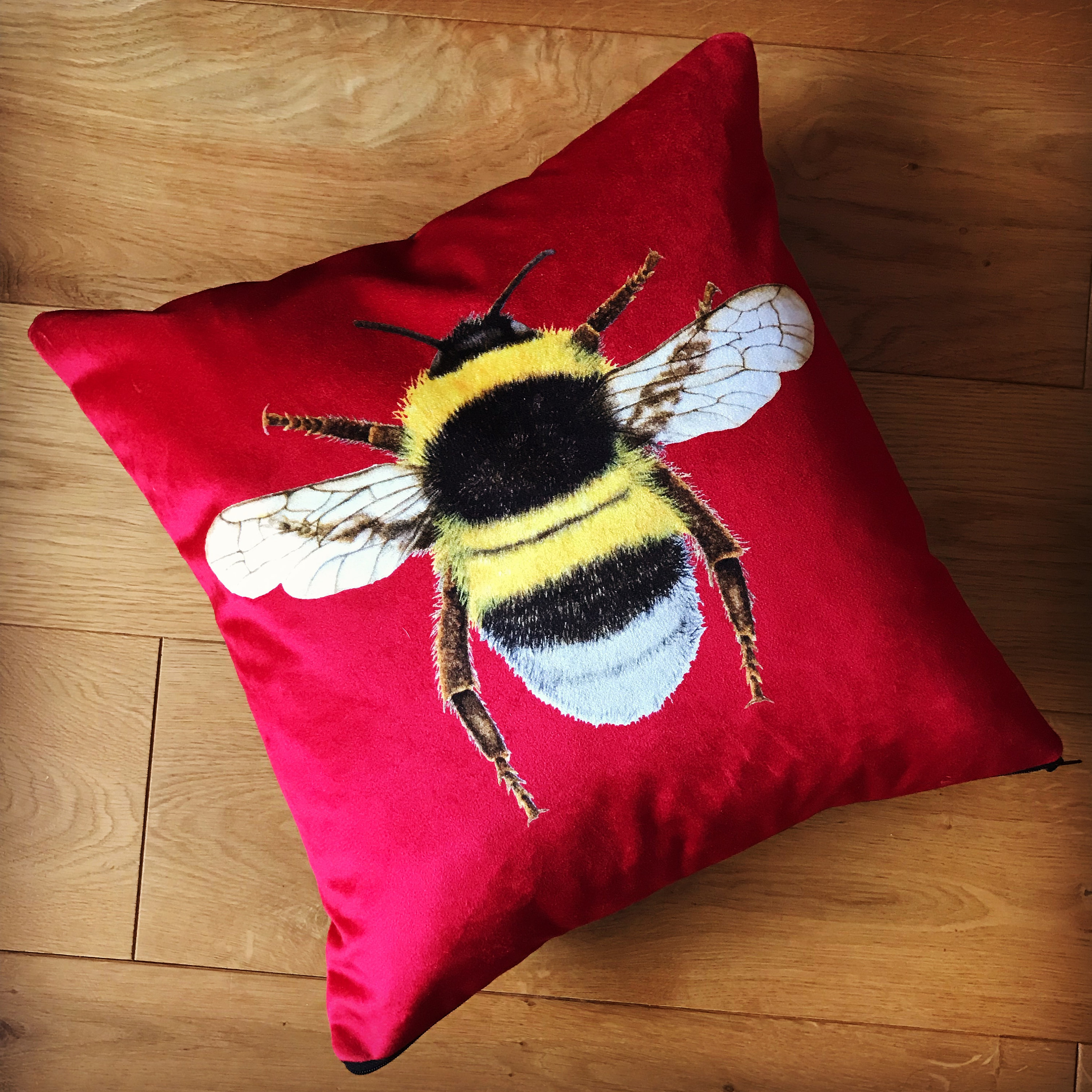 Velvet clearance bee cushion