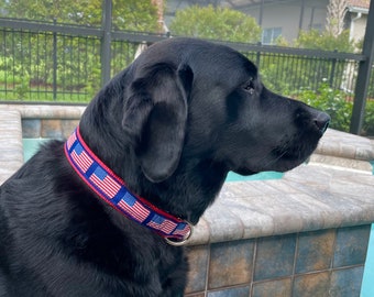 American Flag Dog Collar / American Flag Collar / Flag Collar / Patriotic Collar / 1 " &  1.25 " collars / Collar/Leash Sets Available