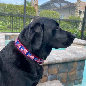 American Flag Dog Collar / American Flag Collar / Flag Collar / Patriotic Collar / 1 " &  1.25 " collars / Collar/Leash Sets Available