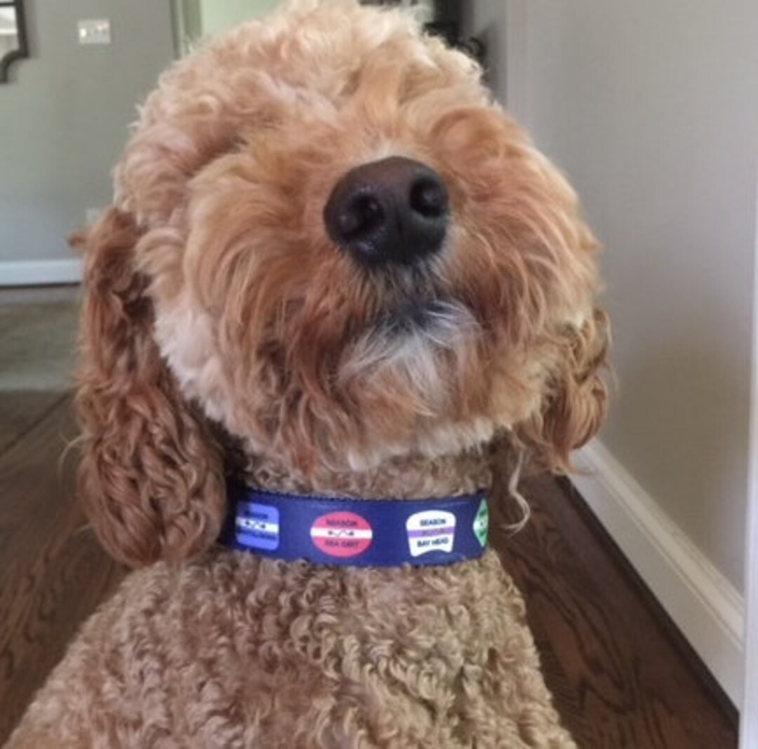 New Jersey Beach Badge Collars / 39 New Jersey Beaches / Sea Girt Area