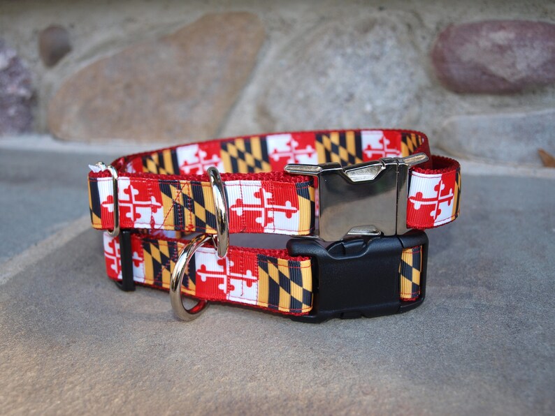 Maryland Flag Dog Collar Maryland Flag Collar University of Maryland Maryland Pride SmMed-MedLarge 1 inch wide Matching Leash