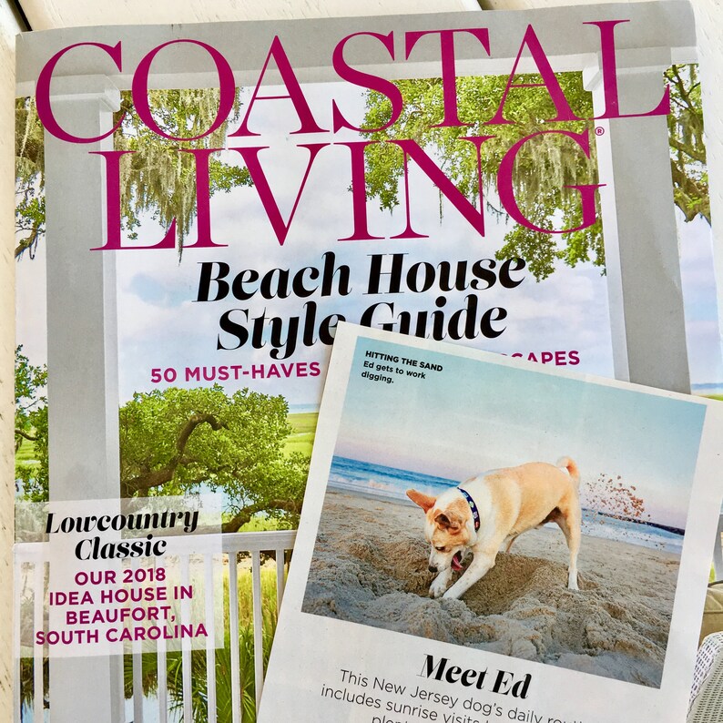 Op de afbeelding: Een tijdschriftcover voor Coastal Living met een beach house stijlguide met 50 must-haves. De cover toont een foto van een wit houten hek en een weelderig groen gazon. Het tijdschrift bevat ook een kleinere foto van een hond die in het zand graaft op een strand.