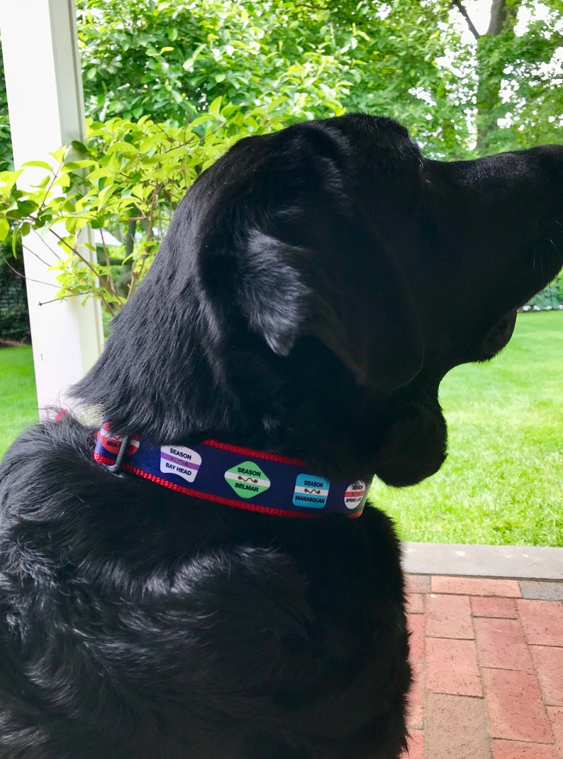 Jersey Shore Beach Badge Collar / Sea Girt / Spring Lake / Etsy