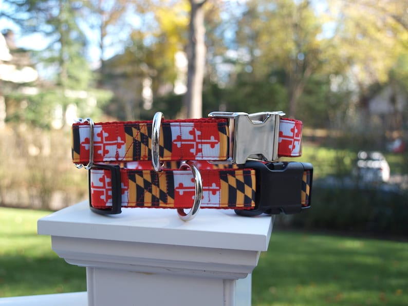 Maryland Flag Dog Collar Maryland Flag Collar University of Maryland Maryland Pride SmMed-MedLarge 1 inch wide Matching Leash