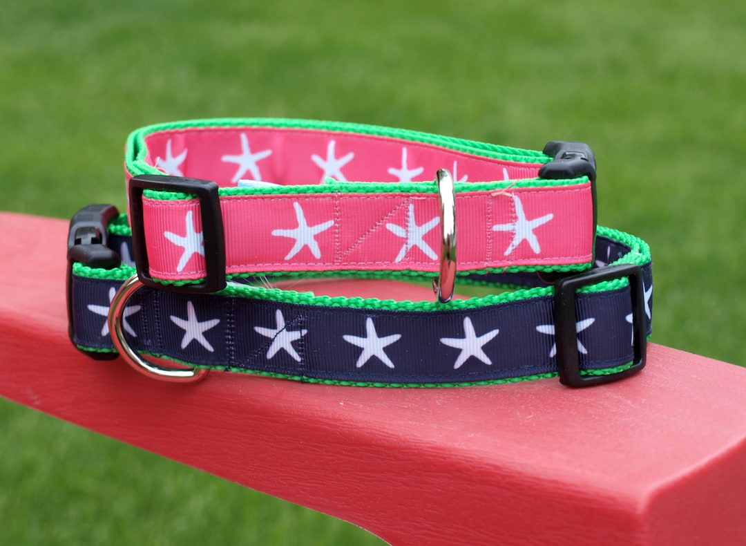 Starfish Dog Collars / Beach Collars / Summer Collars / Preppy Collar