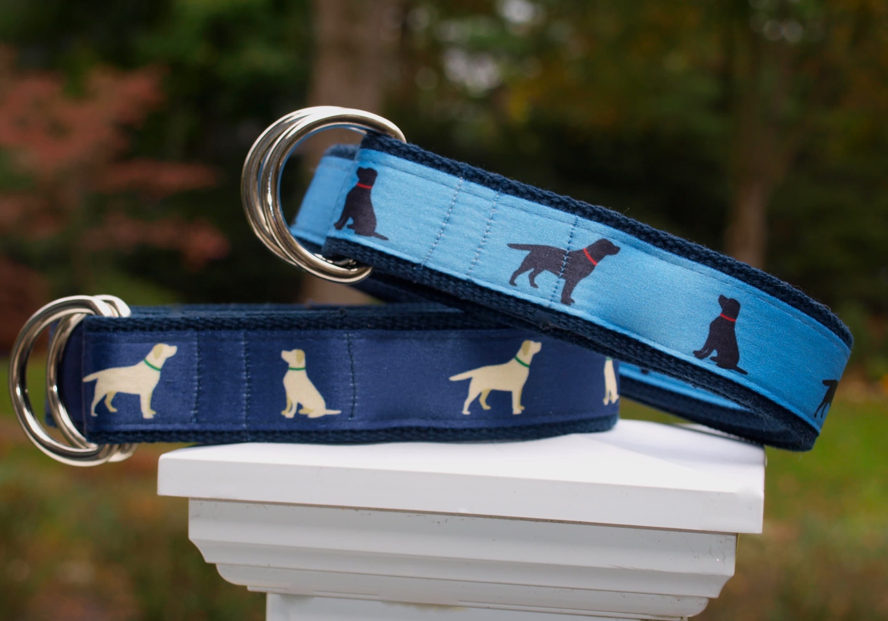 Labrador Retriever Belt Golden Retriever Belt Black Lab Belt