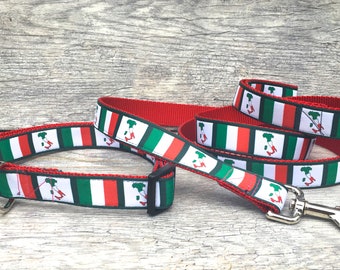 Italian Flag Collar / Italian Collar / Italian Flag / Boot of Italy / Italian Dog Collar / S/M or M/L / 1 in wide / Matching Leash Available