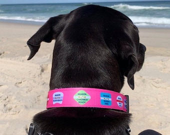 Op de afbeelding: Zwarte hond met een roze hondenhalsband met kleurrijke pleisters die "Season Silver Beach", "Season Chadwick Beach" en "Season Seaside Park" zeggen.