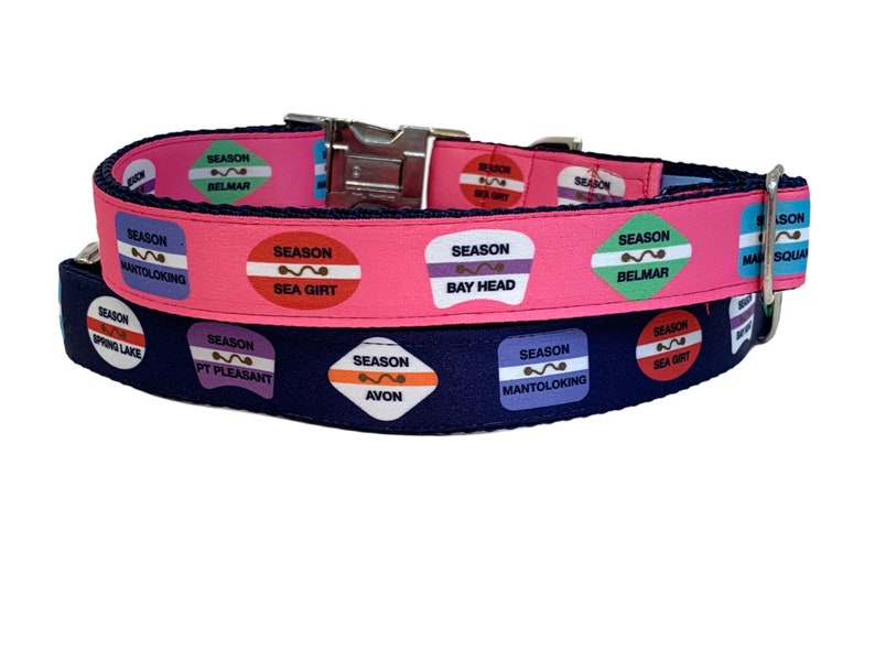 Sea Girt Area Beach Badge Collar / Spring Lake / Belmar / Avon / Pt Pleasant / Manasquan / Bay Head / Mantoloking / Matching Leash Available afbeelding 2