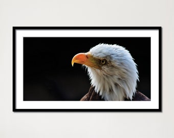 Bald Eagle, DIGITAL DOWNLOAD, Bald Eagle Portrait, Bird Print, Printable Wall Art