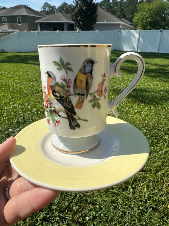 Customized Bird Coffee Cup Set with Saucer - great gift for Coffee or Tea