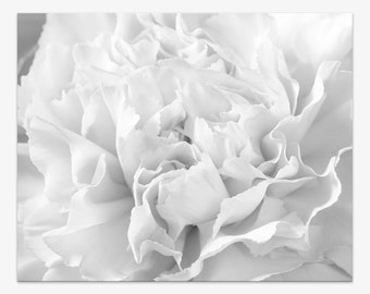 Black and white flower photography wall art print, abstract carnation floral wall decor, unframed print in your choice of size 8x10 - 24x30