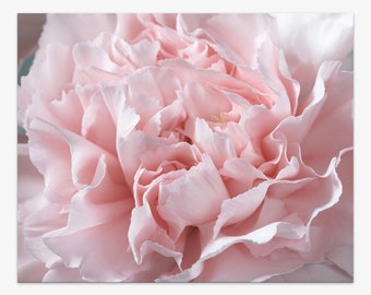Pink Flower Photo Art Print | Abstract Pink Carnation | Floral Wall Decor | Flower Photography | Sizes 8"x10" to 24"x30" | "Appreciative"