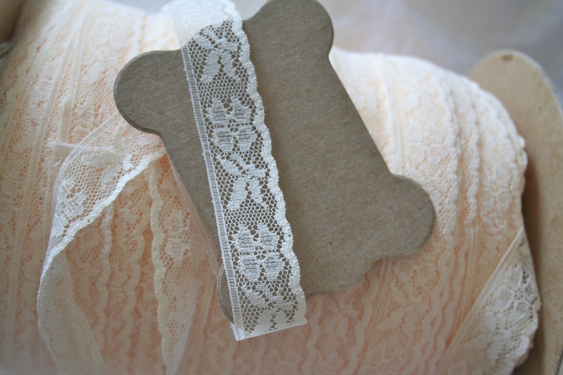 Ivory Raschel Lace Siri main image 0