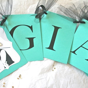 Bride & Co, Baby BANNER, Robins Egg Blue