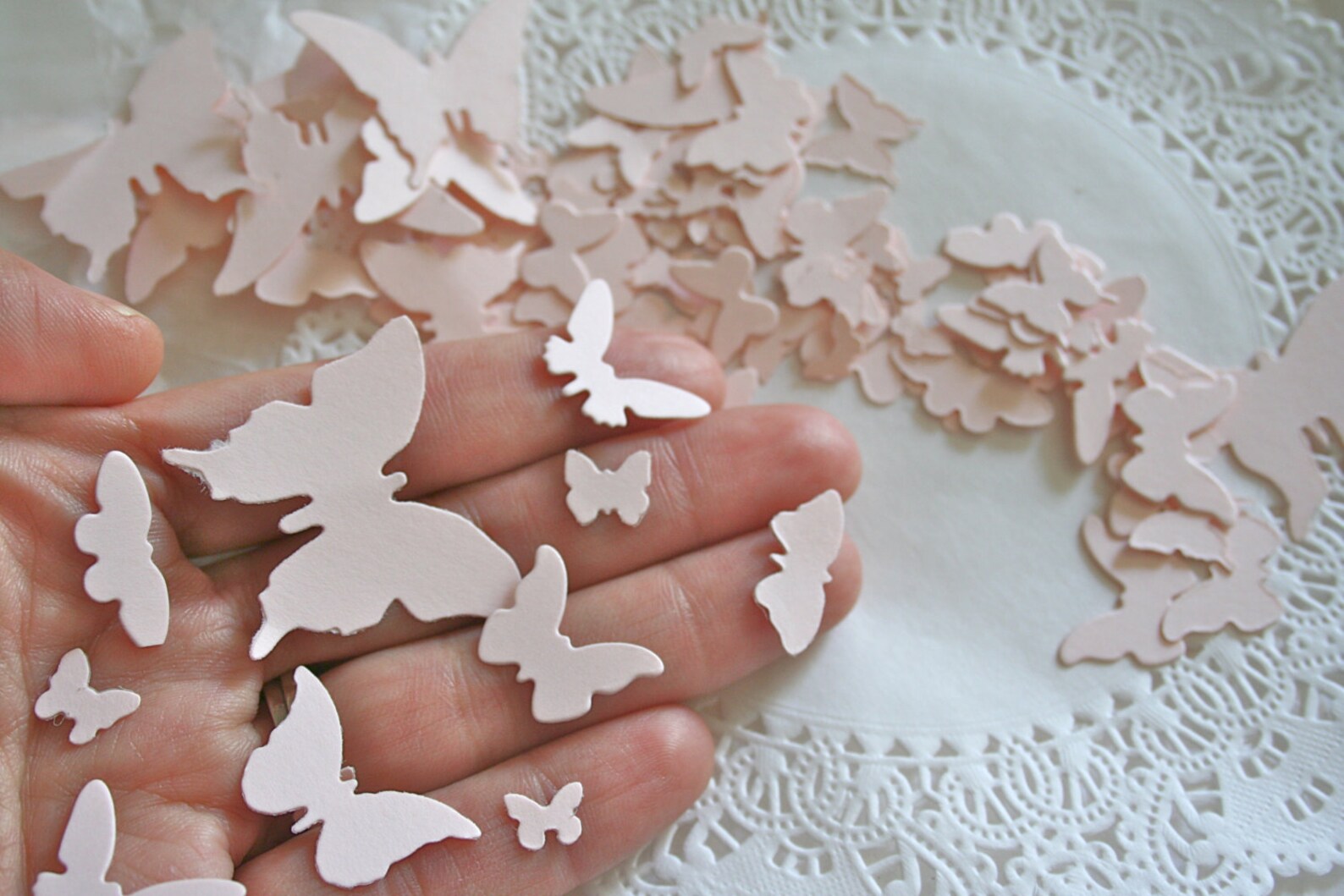 Butterfly Confetti Over 150 Butterflies Etsy