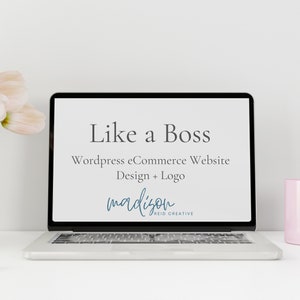 Like a Boss Website Kit | Ecommerce Dropship Store Retail Business Brand Package | Custom Branding Kit, Logo Creation, WordPress Web Design