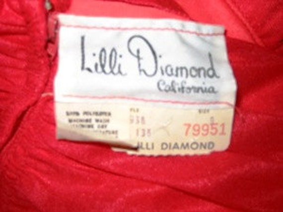 Lilli Diamond Vintage Gown - image 4