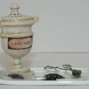 Pot médical miniature de maison de poupée de sangsues à l'échelle 1/12ème plateau en métal