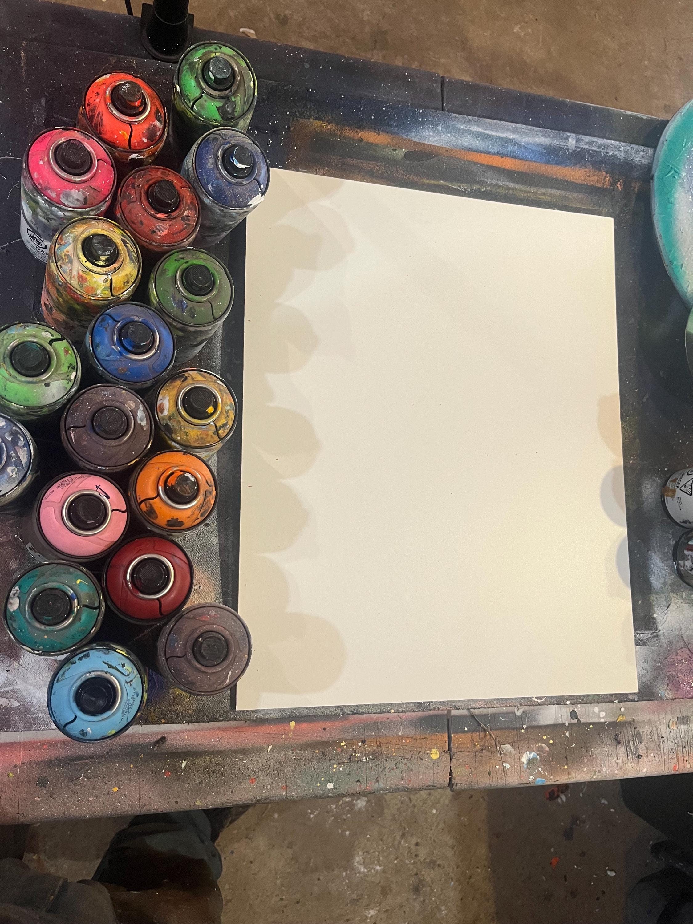 Custom Acrylic Painting- Ask me for Anything - Acrylic and Spray Paint Art on Stretched Canvas
