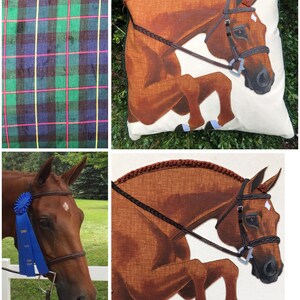 May include: A brown horse with a white star on its forehead jumps over a fence. The horse is wearing a brown leather bridle with a braided leather browband. The horse is on a white background.