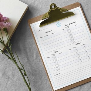 Registro de saúde do animal de estimação, recuperação veterinária, registro do cão, rastreador de animais de estimação, informações sobre animais de estimação, carta, PDF, digital, para impressão, Sky