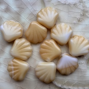 Czech Glass Scallop Shell Beads - Butterscotch and White - Seashell, Clam, Ocean, Beach  Bead - 14mm - Qty 10