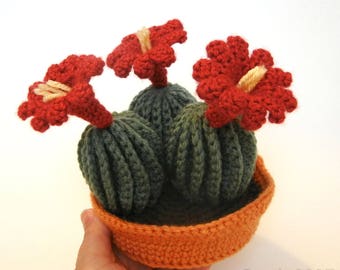 Claret Cup Cactus with Pot and Soil Crochet Pattern