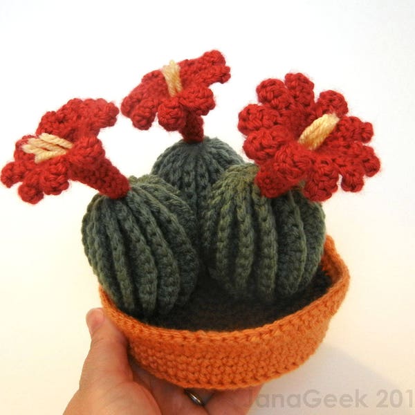Claret Cup Cactus with Pot and Soil Crochet Pattern