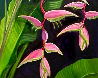 SEXY PINK HELICONIA, Hawaiian Floral, Hawaiian landscape,  Hawaii Resort Decor, Hawaii Gardens