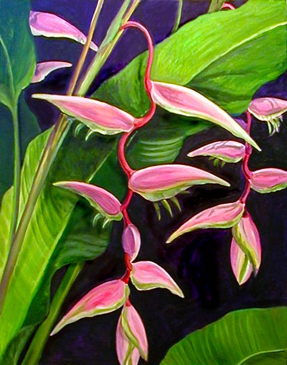 Hawaiian Sexy Pink Heliconia Exotic Floral Print Tropical | Etsy