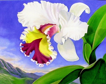 Hawaiian White Cattleya, Hawaiian White Orchid, Tropical white orchid