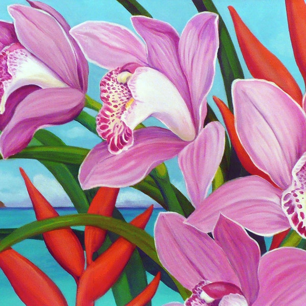 Hawaiian Cymbidiums, Lanikai Orchids, Pink Cymbidium Orchid