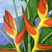 see more listings in the Tropical flower prints section