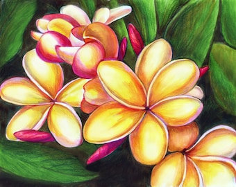 HAWAIIAN YELLOW PLUMERIA, frangipani flower, Pua Melia, Polynesian Floral