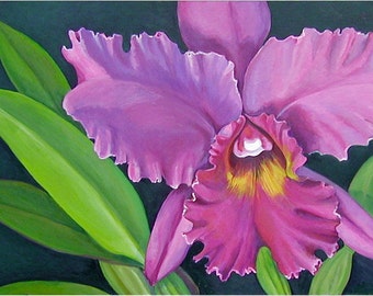 Hawaiian Purple Cattleya Orchid, Hawaii orchid, Tropical flowers, Waikiki