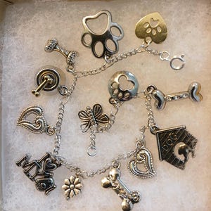 Silver Pet Charm Adjustable Bracelet