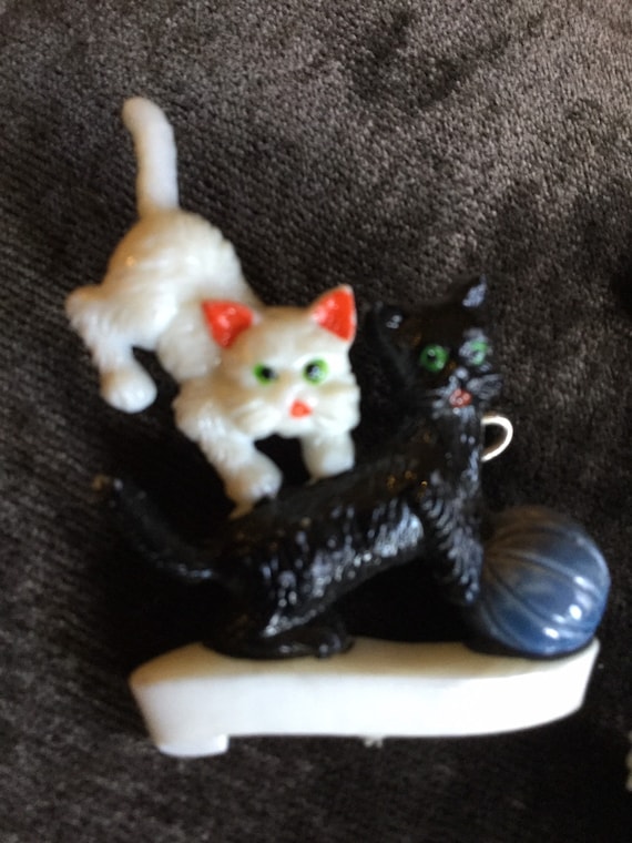 dead black and white cat