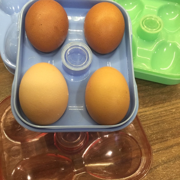 Vintage Picnicware Hard Boiled Egg Boxes