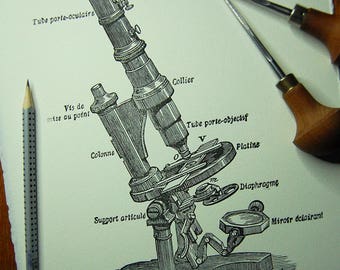 Microscope - linocut