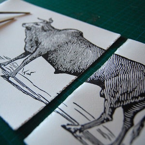 Puede incluir: Dos estampados de linóleo en blanco y negro de una vaca, una de pie y otra tumbada. Los estampados están sobre papel blanco y están rodeados de herramientas de talla.
