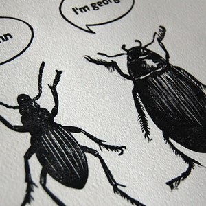 The Beetles insects plate linocut image 3