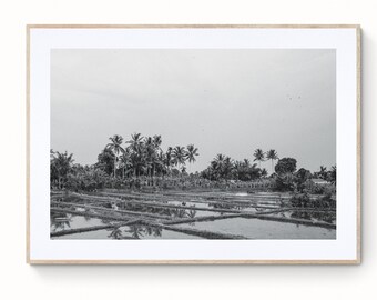 Black and White Nature Photo, Classic Bali Rice field, Digital Wall Art, Reflections, Fine Art Print Photography Palm Tree Jungle Print 078