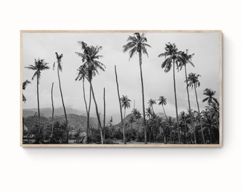 Samsung Frame tv, Bali Photography Frame TV, Nature Art tv Frame, Frame TV Bali, Palm Tree Tropical TV Art, Digital Download, Frame tv Trees