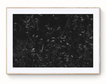 Moody Floral Print, Black and White Flower Photo, Digital Wall Art, Fine Art Print Photography, Flower Wall Print 074