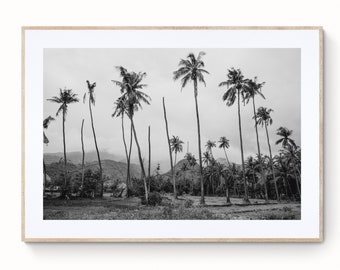 Classic Bali Print, Digital Wall Art, Jungle and Mountains, Fine Art Print Photography, Palm Tree Print 086