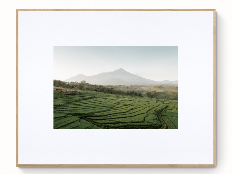 Gallery Wall Art Set of 4, Digital Download Print, Bali Photo Prints, Gallery Art wall, Printable Nature Photos image 5