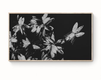 Samsung Frame Tv Art |  Black and White Moody Flower Photography |  Art for Frame Tv | Flower Still Life Photo