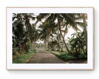 Jungle Landscape Print Tree Lined Road Wall Art Fine Art Print Photography Nature Print Digital Download 161